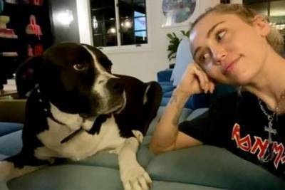 Miley Cyrus reveals her dog Mary Jane has died after battling cancer - www.msn.com