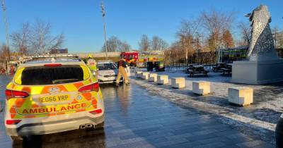 Kelpies ice rescue as firefighters race to save dog after it plunges into frozen water - www.dailyrecord.co.uk - Scotland