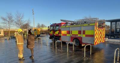 Youth falls through ice at Kelpies after dog is pulled from nearby canal - www.dailyrecord.co.uk - Scotland