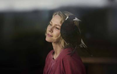 ‘Penguin Bloom’ Trailer: Naomi Watts Stars In This True Story Of A Woman’s Recovery Aided By A Bird - theplaylist.net