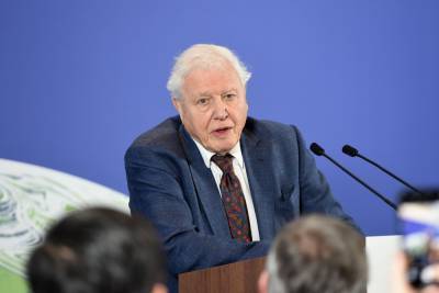 Sir David Attenborough Reveals Why He Won’t Return To Viral Instagram Account - etcanada.com