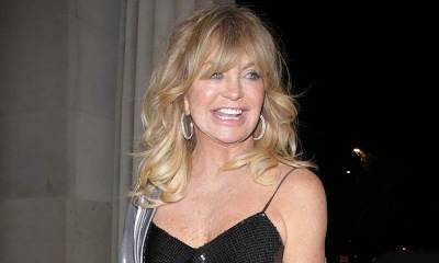 Goldie Hawn's adorable new family member sparks mass fan reaction - hellomagazine.com - Santa