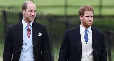 Prince Harry & Prince William's equation is 'much better' as brothers reconnected virtually over the holidays? - www.pinkvilla.com - Los Angeles