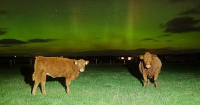 Scots capture stunning shots of Northern Lights over Scotland - www.dailyrecord.co.uk - Scotland - USA