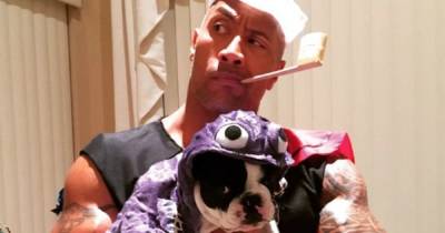 Miley Cyrus, Dwayne Johnson and More Celebrities Whose Pets Have the Best Halloween Costumes in Hollywood - www.usmagazine.com - Hollywood