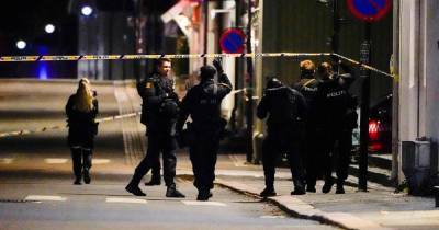 Norway bow and arrow attack: Several dead and others injured amid weapon killing spree - www.dailyrecord.co.uk - Norway