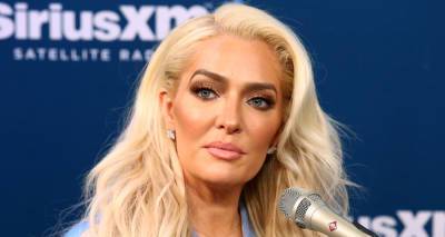 Erika Jayne Claps Back at Those Demanding She Be Fired from 'Real Housewives of Beverly Hills' - www.justjared.com