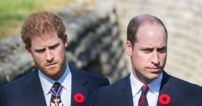 Inside William and Harry's brutal rivalry over 'hairless heads' as Kate calls Will ‘baldy’ - www.ok.co.uk - Britain - county Rock