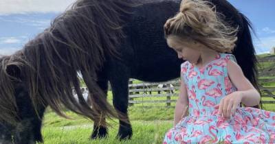 Our Yorkshire Farm's Amanda Owen thanks fans for support after children's pony dies - www.ok.co.uk