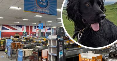 Aldi shoppers can't wait to get hands on SpecialBuy 'Liam Gallagher parka' - for dogs - www.manchestereveningnews.co.uk - Manchester