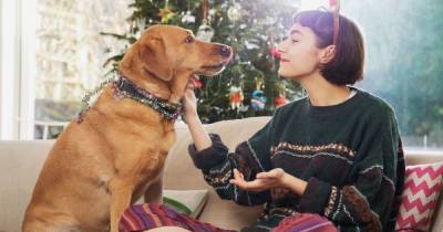 Ocado launches Christmas puddings for your dog - www.ok.co.uk