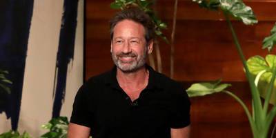 David Duchovny Auditioned For All The Lead Roles On This Sitcom & Didn't Get Any! - www.justjared.com