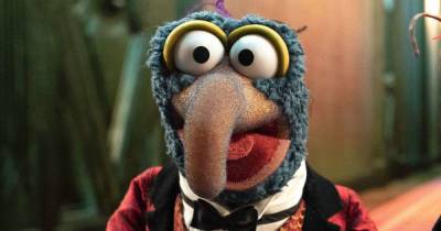 How The Muppets’ Gonzo Would Do On The Walking Dead, According To Yvette Nicole Brown - www.msn.com