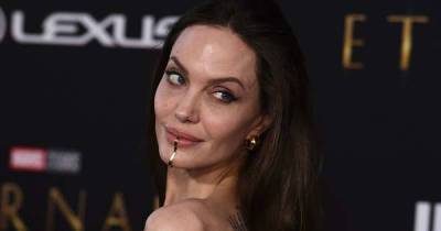 Angelina Jolie wears opinion-dividing ‘chin cuff’ on the red carpet – would you try the celebrity face bling trend? - www.msn.com - Los Angeles - city Austin