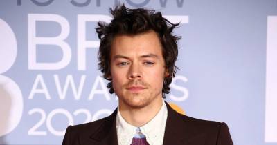 Harry Styles Reportedly Cast as Thanos’ Brother Eros in Marvel’s ‘Eternals’ - www.usmagazine.com