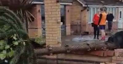 Tornado in Widnes leaves fallen trees and collapsed walls as North West is battered by torrential rain - www.manchestereveningnews.co.uk - city Cheshire