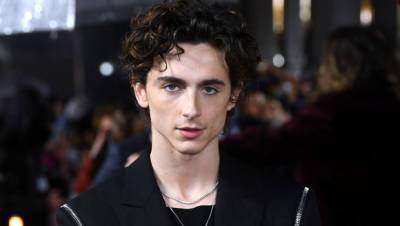 Timothee Chalamet Rocks Slytherin Sweater ‘Harry Potter’ Fans Go Nuts — Watch Video - hollywoodlife.com