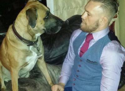 ‘He was with me all the way’ Conor McGregor mourns beloved dog Hugo - evoke.ie - Rome