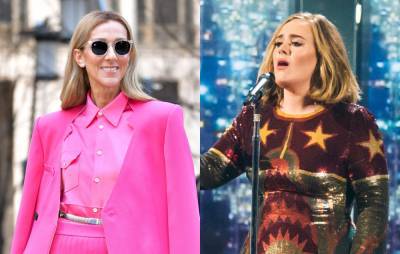 Adele owns a framed piece of Celine Dion’s used chewing gum - www.nme.com