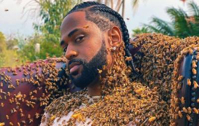 Big Sean gets cloaked in 65,000 bees in music video for new single ‘What A Life’ - www.nme.com