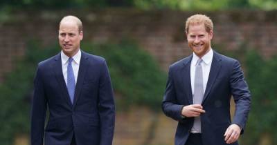 Prince William makes nod to brother Harry during 'intimate' Princess Diana event - www.ok.co.uk