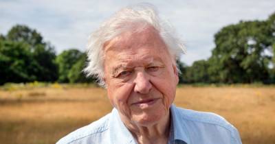 Sir David Attenborough says to act on climate change now or it will be too late ahead of COP26 - www.dailyrecord.co.uk