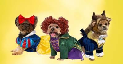 Bette Midler - Sarah Jessica-Parker - Sarah Jessica Parker - Winifred Sanderson - Disney - Dog owners can now buy Hocus Pocus costumes for pooches this Halloween - ok.co.uk - Britain - city Sanderson
