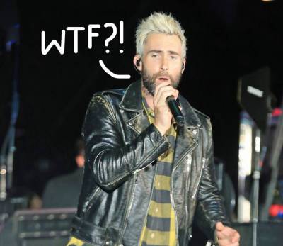 Disgusted?! Adam Levine Blasted For Reacting To Maroon 5 Fan Like THIS! - perezhilton.com