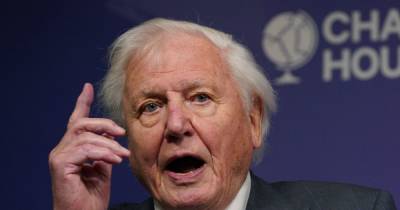 David Attenborough calls for urgent climate action before it's 'too late' ahead of COP26 in Glasgow - www.dailyrecord.co.uk