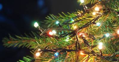Christmas light switch-on events cancelled in Falkirk area - www.dailyrecord.co.uk