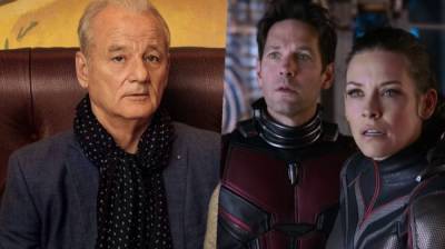 Bill Murray Confirms Appearance In ‘Ant-Man 3’ But Doesn’t See Another Comic Book Film In His Future - theplaylist.net