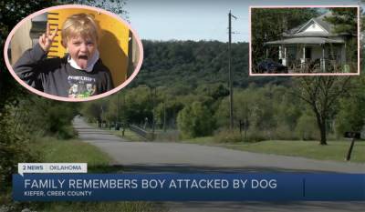 Young Boy Mauled To Death By Pet Dog His Family Rescued Just Three Weeks Before - perezhilton.com - Oklahoma - county Creek