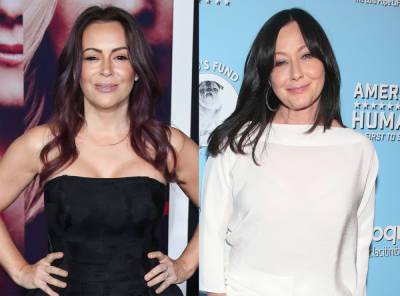 Alyssa Milano Admits 'Guilt' In Charmed Feud With Shannen Doherty - perezhilton.com