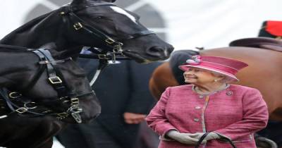 Queen 'forced to give up horse riding two months ago after suffering discomfort' - www.ok.co.uk - Scotland