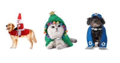 7 Amazingly Adorable Pet Holiday Outfits You Need to See ASAP - www.usmagazine.com