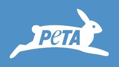 PETA Urges MLB to Rename ‘Bullpen’ to ‘Arm Barn’ - thewrap.com