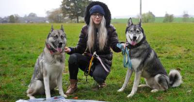 Dumfries dog owner hits out yobs who set off fireworks near her pets - www.dailyrecord.co.uk
