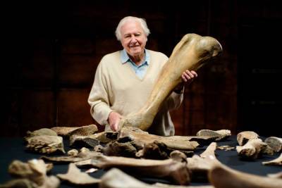BBC’s Latest Natural History Landmark To Spotlight Asia, David Attenborough Boarded For Mammoth Graveyard Doc - deadline.com - Britain
