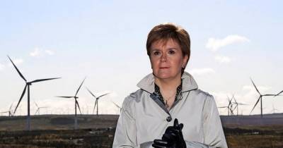 Nicola Sturgeon reveals she could become foster mother once she leaves politics - www.dailyrecord.co.uk - Scotland - Beyond