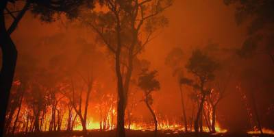 Amazon Propagate Eva Orner Documentary ‘Burning’ To Screen At UN Climate Change Conference COP26 - deadline.com - Australia