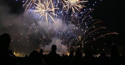 Blairgowrie raw dog food firm offers tips to keep pets calm during Bonfire Night - www.dailyrecord.co.uk