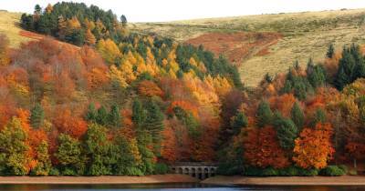 Ten gorgeous autumn walks in the Peak District - www.manchestereveningnews.co.uk - Manchester
