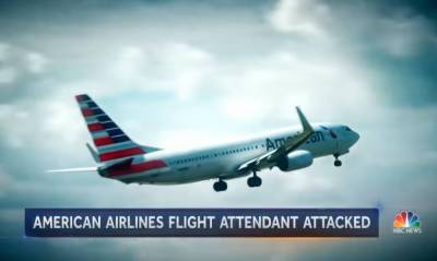 Flight Attendant Hospitalized After Shocking Attack From First Class Passenger - perezhilton.com - New York - USA - California - Washington - county Wayne