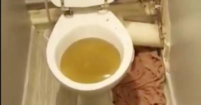 Mum forced to tip buckets of sewage from eighth-floor window for two days - www.dailyrecord.co.uk