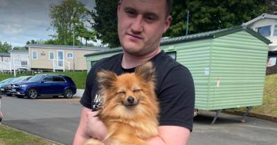 Scots couple in tears after finding beloved missing dog thanks to hi-tech drone and clever trap - www.dailyrecord.co.uk - Scotland