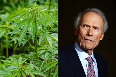 Clint Eastwood wins $6.1 million in damages in CBD fakery lawsuit - nypost.com - New York - Jordan