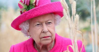 Palace cleaners have to pass 'dead fly test' if they want to work for the Queen - www.ok.co.uk - city Sandringham