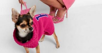 Boohoo have launched matching Halloween costumes for you and your dog - www.ok.co.uk