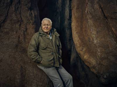 BBC Studios Sells Sir David Attenborough’s ‘Green Planet’ To Multiple Global Networks - deadline.com - Australia - New Zealand - Canada