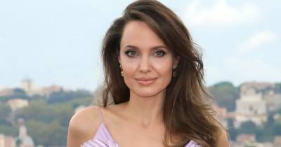 Angelina Jolie Sells Share in the Multimillion-Dollar Wine Label She Had With Brad Pitt - www.usmagazine.com - France